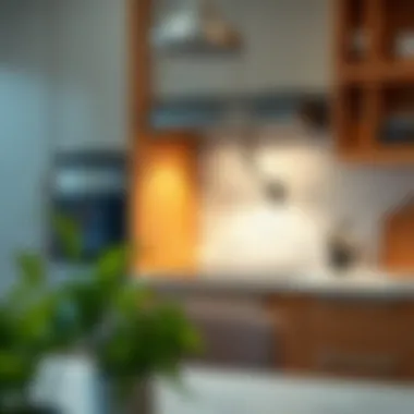 Countertop installation of a built-in oven