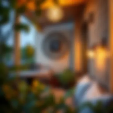 Creative use of wall art and lighting to enhance outdoor aesthetics