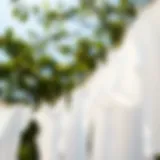Freshly laundered white garments hung to dry