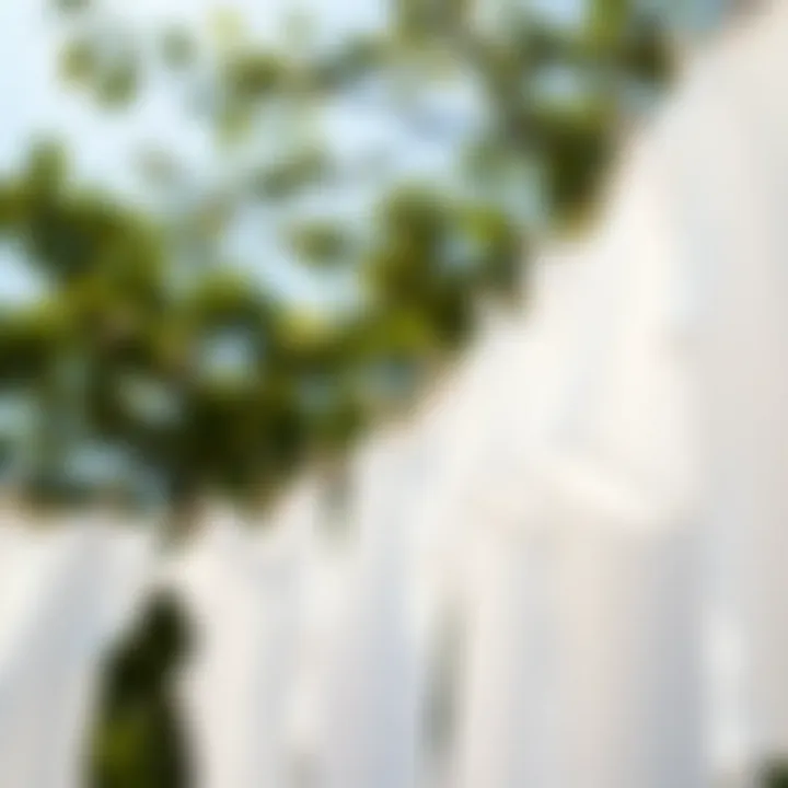 Freshly laundered white garments hung to dry