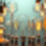 Different types of light bulbs arranged aesthetically