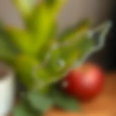 Close-up of silicone stain on glass surface