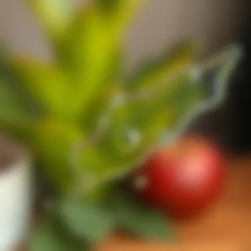 Close-up of silicone stain on glass surface