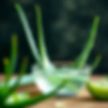 Aloe vera gel in a skincare routine