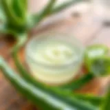 Soothing aloe vera gel applied to skin
