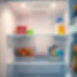 Clean refrigerator shelves
