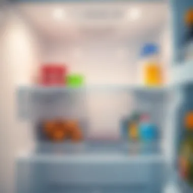 Clean refrigerator shelves