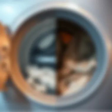 Comparative illustration of clean vs dirty washing machine interior