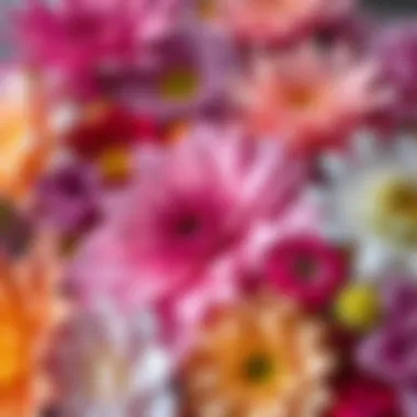 Close-up of a colorful flower arrangement