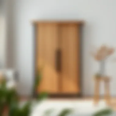 Stylish minimalist vestiyer made of wood and metal