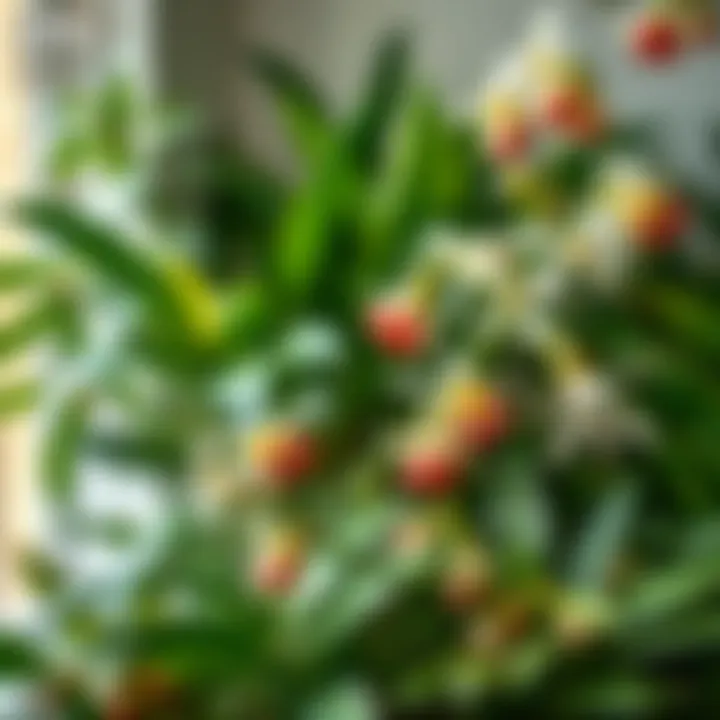 Diverse species of flowering houseplants with detailed features