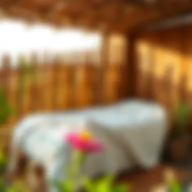 Drying bamboo duvet under sunlight