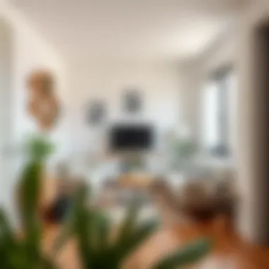 Thoughtful arrangement of furniture in a tiny room