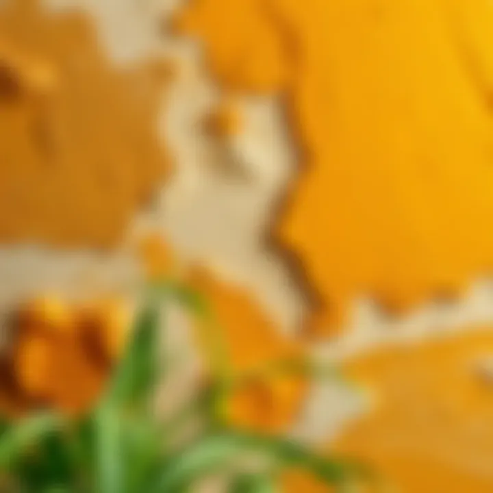 Close-up of textured wall finishes showcasing antique paint styles