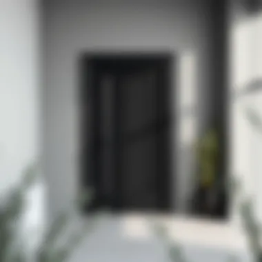 Modern minimalist space with a sleek black door and gray walls