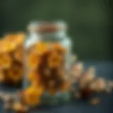 Dried linden flowers in a jar