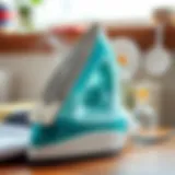 Descaling solution for steam iron