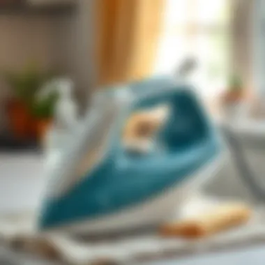 Cleaning steam iron with vinegar