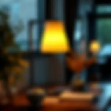 Functional and stylish lamp options for reading