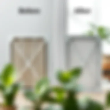 Before and after air filter cleaning