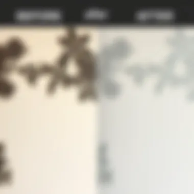 Before and after comparison of a treated wall