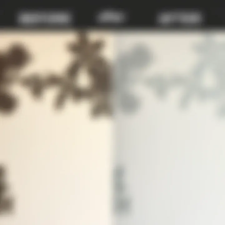 Before and after comparison of a treated wall