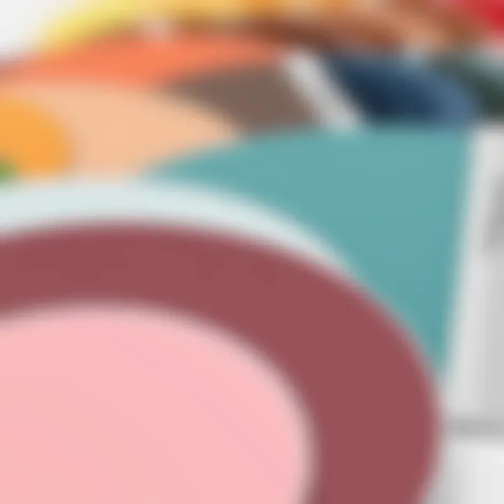 Close-up of color palette for lake furniture paint