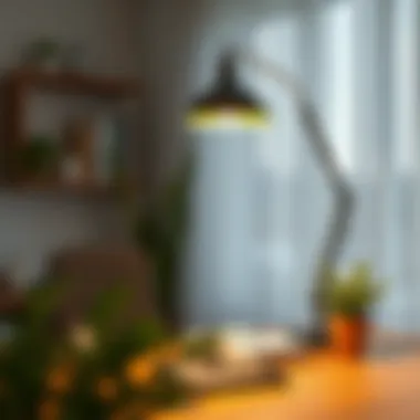 Task lighting for home office productivity