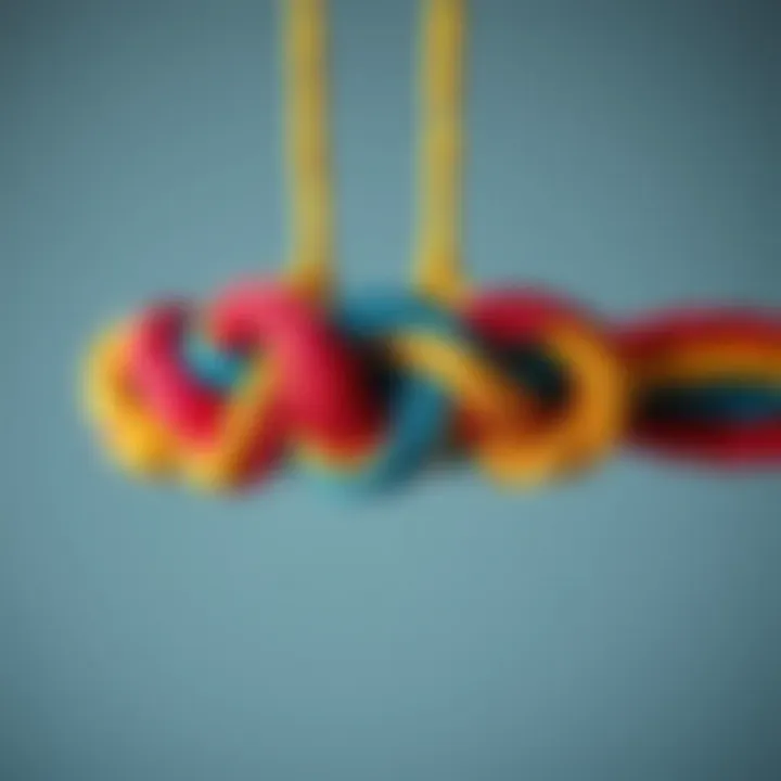 Intricate Macrame Knots Intricate macrame knots in vibrant colors