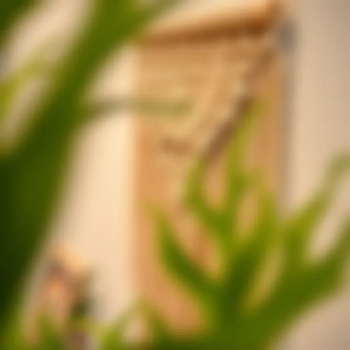 Macrame Wall Hanging Close-up of a macrame wall hanging