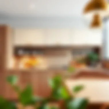 Combination of wood and color in kitchen cabinets