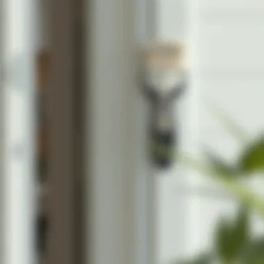 Final touch-ups after door painting