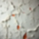 Close-up of peeling wall texture