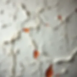 Close-up of peeling wall texture