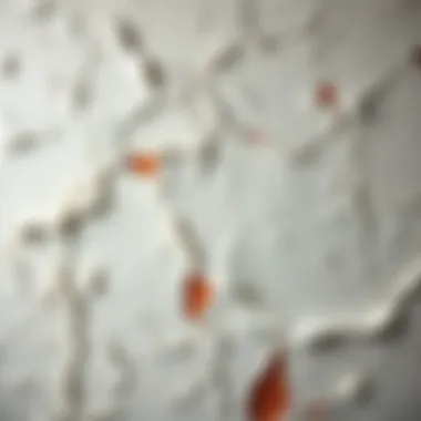 Close-up of peeling wall texture