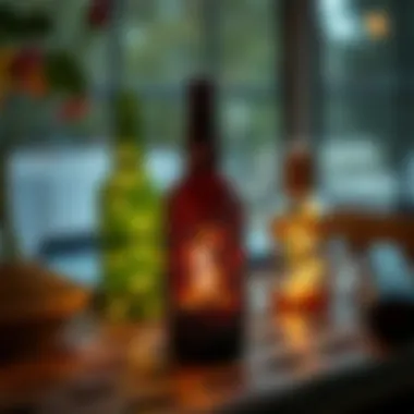 Inspiration for Recycled Bottle Projects Recycled bottle project inspiring creativity