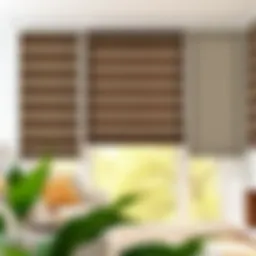 Collection of different types of roller blinds