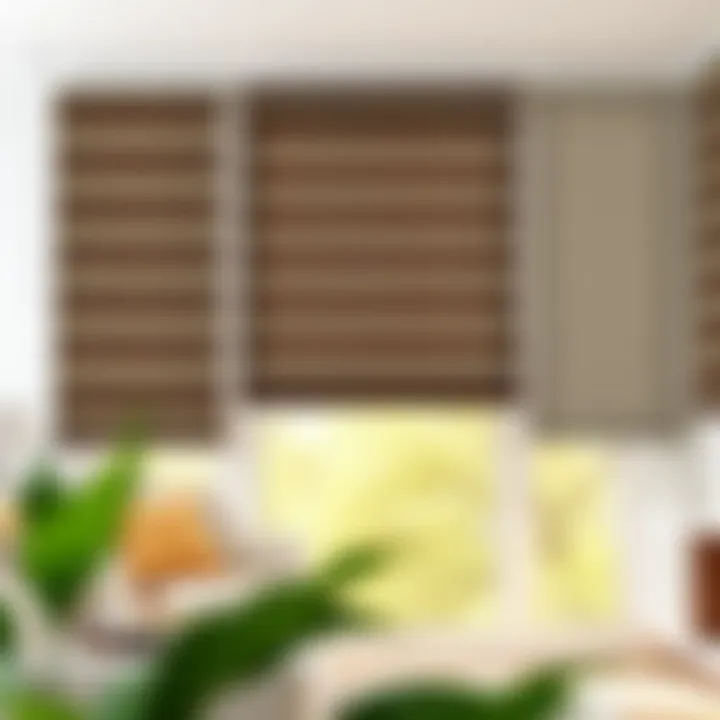 Collection of different types of roller blinds