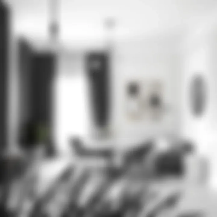 Serene black and white interior design