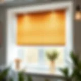 Interior view of a clean window with roller blinds