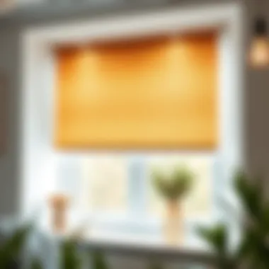 Interior view of a clean window with roller blinds