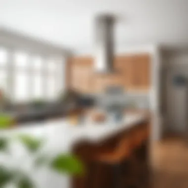 Modern countertop styles integrated in a stylish home