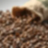 Selection of high-quality coffee beans