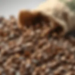 Selection of high-quality coffee beans