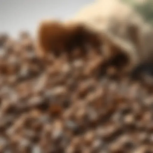 Selection of high-quality coffee beans