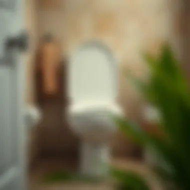 A well-maintained toilet highlighting proper maintenance practices