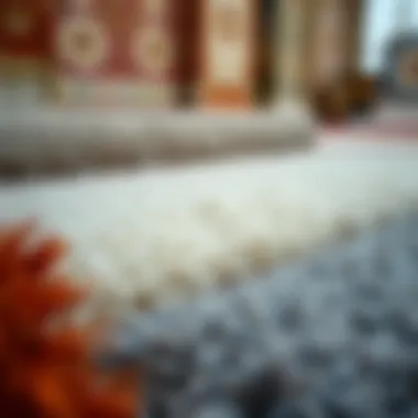 Variety of Carpet Types Different types of carpets displayed